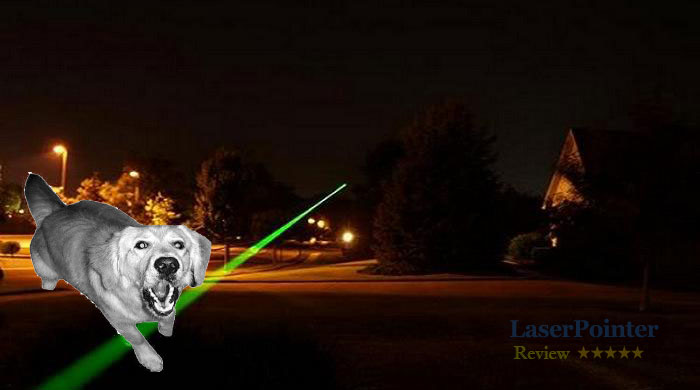laser dirve dog